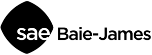 Logo SAEBJ